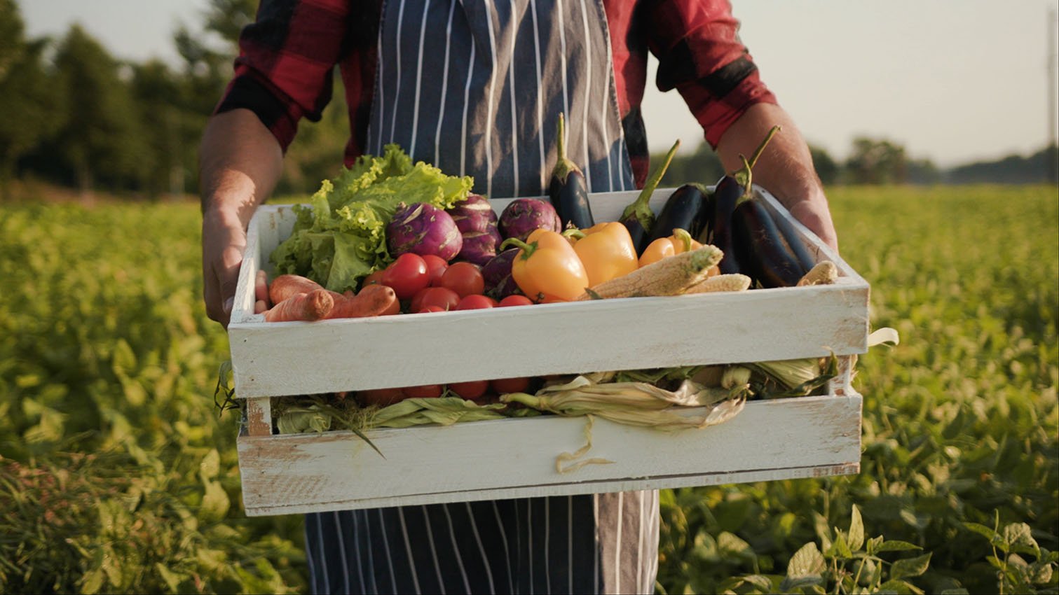 Fabien Pairon's favorite local suppliers